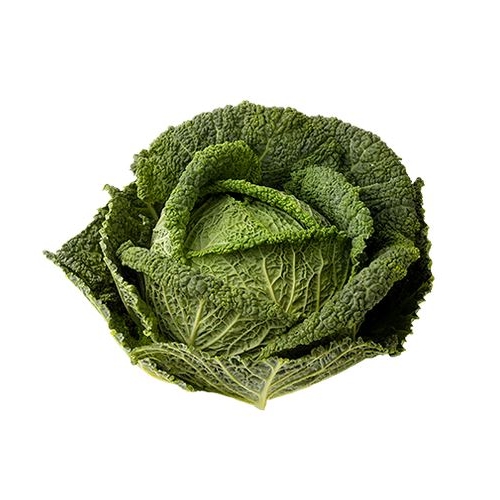 CHOU FRISÉ (FRANCE)